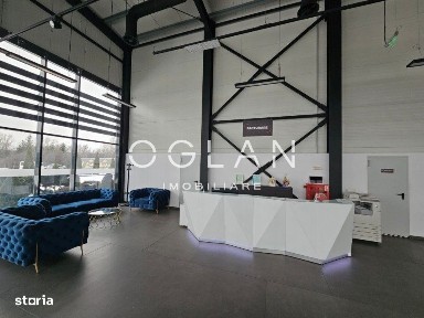 Service auto cu showroom și linie ITP, Cisnădie