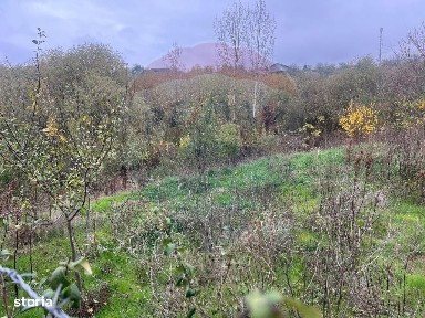 Strada Macelarului, Varasti, Giurgiu
