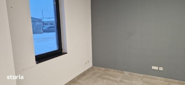 Subcentral, Satu Mare