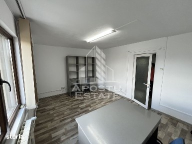 Antene, Timisoara, Timis