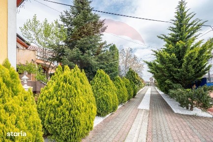 Strada Stefan cel Mare, Cihei, Sanmartin, Bihor