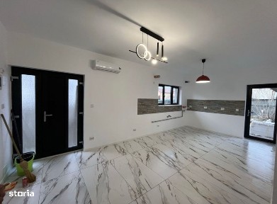 Sanmihaiu Roman, Timis