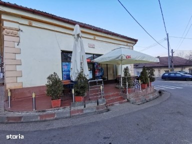 De vanzare/inchiriere casa+spatiu comercial in comuna Baita