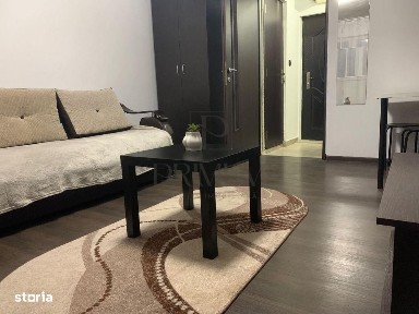 Apartament 1 camera-Buziasului-Renovat