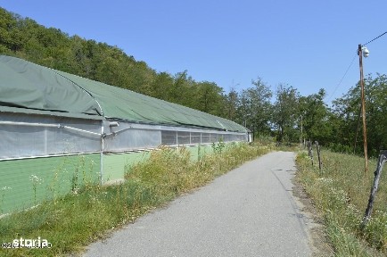 Bogati - Glimbocel, Ferma Zootehnica, Cladiri 1996 mp, Teren 4.89 ha