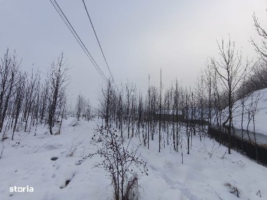 Teren intravilan, 5000mp, zona Negostina, Siret