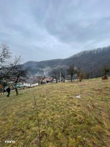 Casa reconsolidata cu teren 60 arii - Oportunitate excelenta la pret