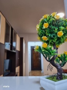 Închiriez garsoniera pe termen lung in DEVA zona centrala