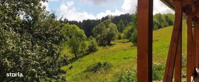 Cabana de vanzare, 8000 mp teren intravilan. Plopi