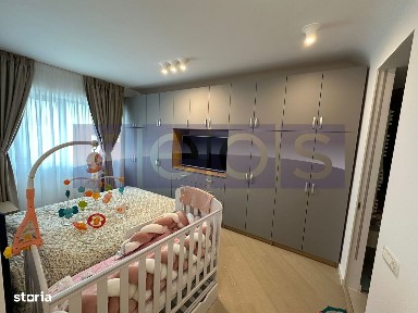 Strada Mesteacanului, Voluntari, Ilfov