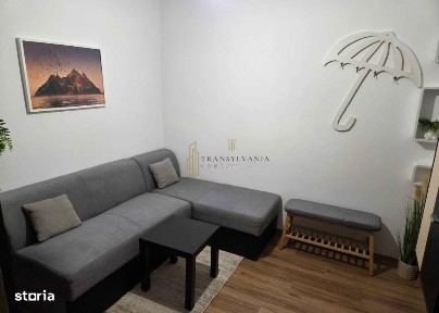 Garsoniera 25 mp utili, renovata total, Zona Stefan Cel Mare