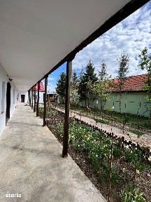Sanandrei, Timis