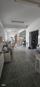 Circumvalatiunii, Timisoara, Timis