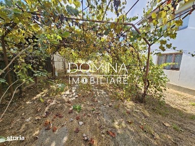 Vanzare casa P+1, in comuna Danesti, sat Șasa - la 10 km distanta de