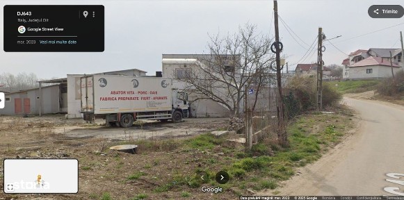 Bals, Olt
