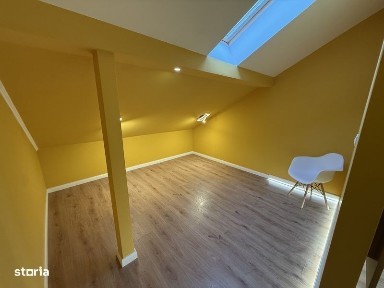 Subcentral, Satu Mare