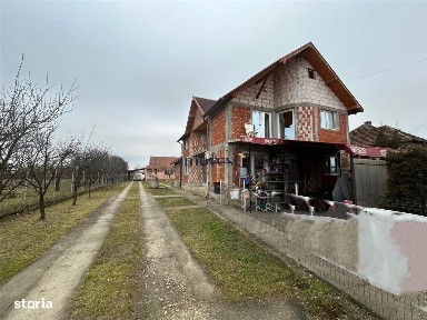 Iojib, Mediesu Aurit, Satu Mare