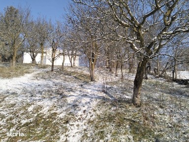 Mosia boiereasca din varf de deal, Scorteni - Prahova!