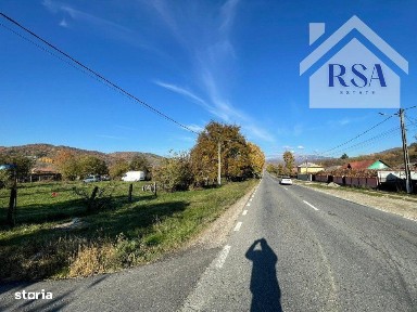 Rapanesti, Bunesti, Valcea