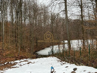 Exclusivitate! VILA PREMIUM CU DESCHIDERE LA LAC MOGOSA