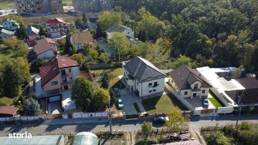 Mogosoaia, vila la pădure
