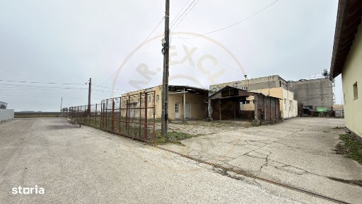 Carei, Satu Mare