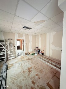 Centru, Botosani