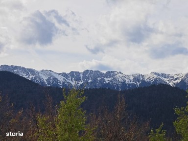 Pestera, Moieciu, Brasov