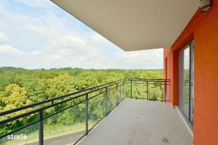 Strada Constructorilor, Lipovei / Calea Sever Bocu, Timisoara, Timis