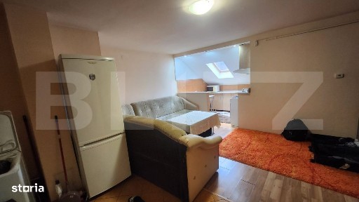 Apartament 1 camera, zona Valeria Peter Predescu