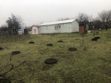 Greci, Pietrarilor 10