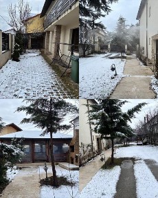 VILA DEOSEBITA DE VANZARE / Pitesti / Trivale / Langa Padure /