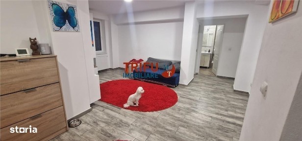 Apartament 4 camere zona Ampoi