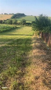 Reco Casa cu teren 5800 mp in Ghenetea la strada asfaltata recent