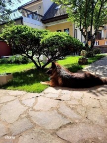 Casa 355 mp si teren 461 mp in zona cetatii Tg.Mures