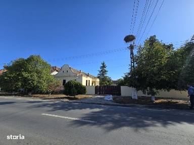 Cenad-Ultracentral-2 fronturi- Casa cu ahitectura deosebita
