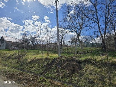 Herneacova, Recas, Timis