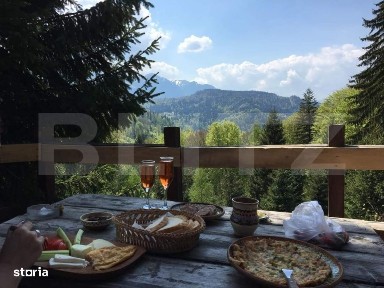 Complex turistic eco-integrat - Predeal (Trei Brazi)