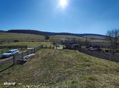 Aleea Muresului, Tofalau, Sangeorgiu De Mures, Mures