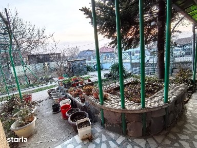 Strada Traian Simu, Ciarda Rosie, Timisoara, Timis
