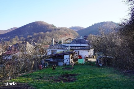 Proprietate cu 2 Case și Teren Generos - Str. Câmpu Negru