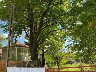 Iasi, Ciortesti