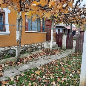 Gorj, Somanesti