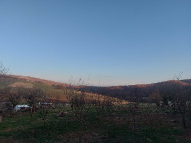 Bihor, Fasca