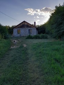 Vand casa la tara