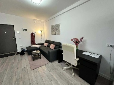 Apartament cu 1 dormitor George Enescu