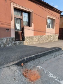 Bihor, Tinca