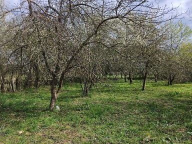 Arad, Varadia de Mures