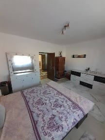 Timis, Timisoara