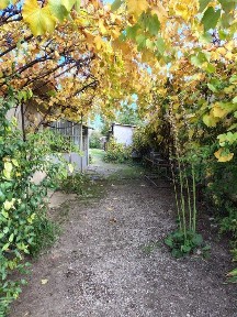 Giurgiu, Singureni